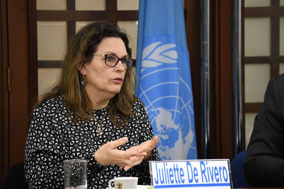  Juliette de Rivero, representante del Alto Comisionado de la ONU para los Derechos Humanos, explica la postura de Naciones Unidas sobre el proyecto de ley de mujeres buscadoras. 