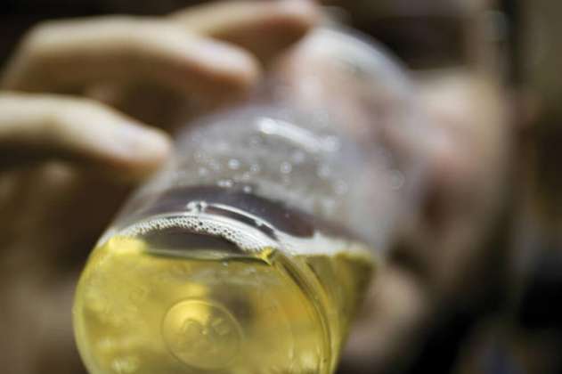El daño cerebral inducido por el alcohol no cesa al dejar de beber