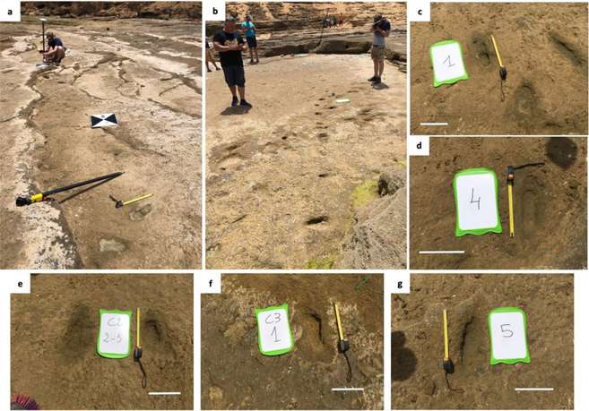 They have found the oldest footprints ever seen on a Moroccan beach