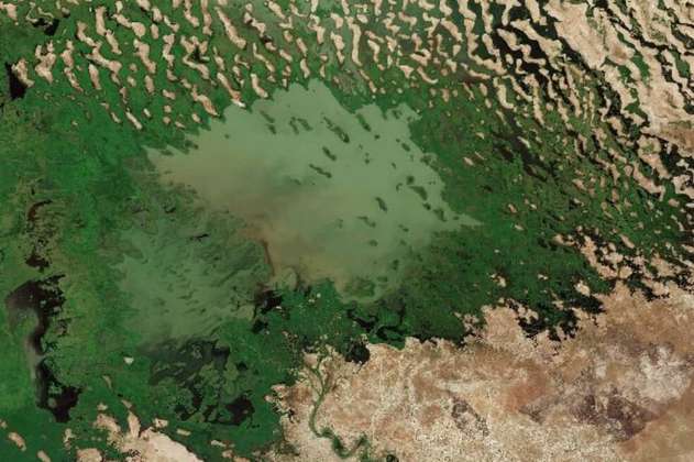 El lago Chad, uno de los más grandes del mundo, perdió el 90% de su superficie en cuatro décadas