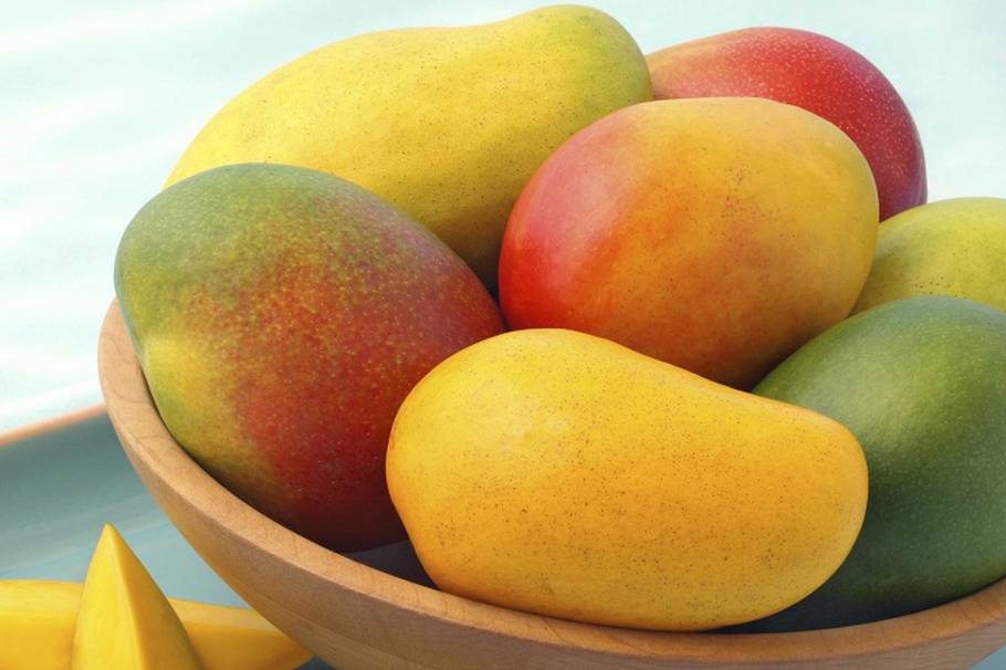 El mango, una dulce medicina