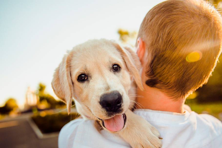 Si quieres conocer el significado de la palabra “felicidad”, adopta un  perro