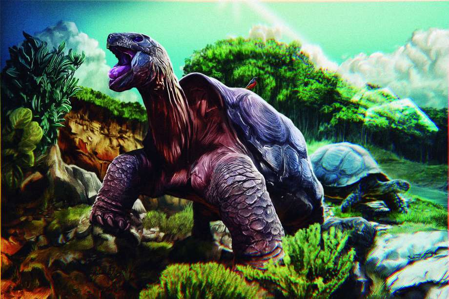 Chelonoidis sp. Era tan grande como las tortugas de las islas Galápagos. Sus fósiles datan del Mioceno. / Ilustraciones de Puntoaparte Bookvertising. Libro Hace Tiempo / Instituto Humboldt.