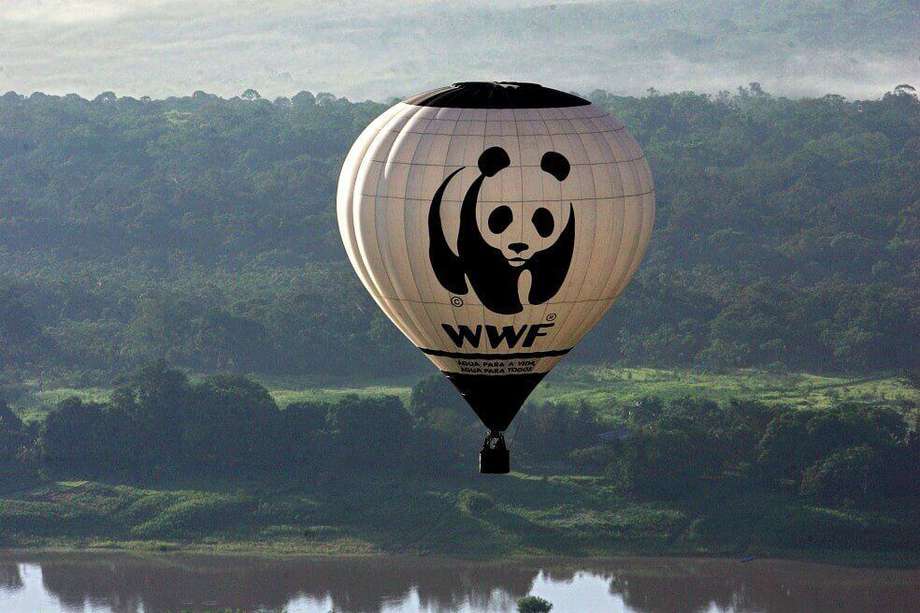 WWF ordena investigación sobre abusos de unidades contra caza furtiva