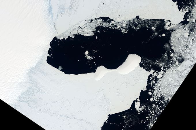 Encontraron casi mil especies de bacterias “congeladas” en glaciares