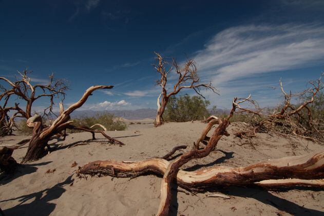 El Valle de la Muerte: así es el lugar más caliente de la Tierra