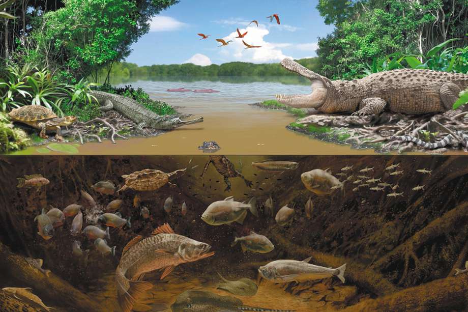Ilustración de cómo pudo ser el ambiente en el Mioceno.  / Tomado de Carrillo-Briceño et al., 2021