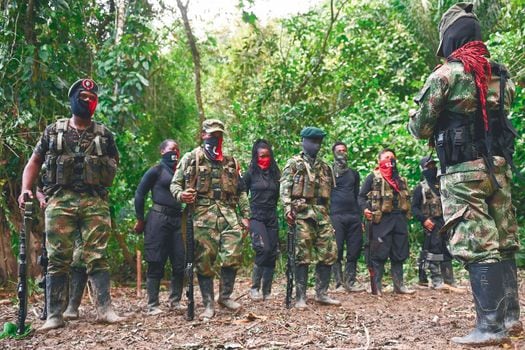 El Gobierno retomó los diálogos de paz con la guerrilla del Eln el pasado mes de agosto.