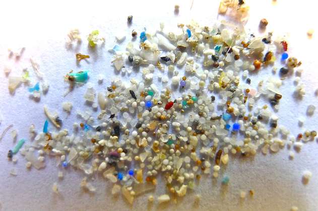 Científicos analizan 62 placentas y en todas encontraron restos de microplásticos
