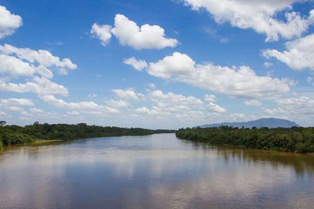 Las áreas protegidas de la Amazonia están emitiendo más carbono de lo esperado