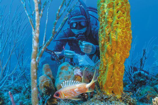 Kike Ballesteros, ecólogo marino y parte del equipo de Pristine Seas, de National Geographic, durante la expedición a la reserva de Seaflower. / Manu San Félix - National Geographic.