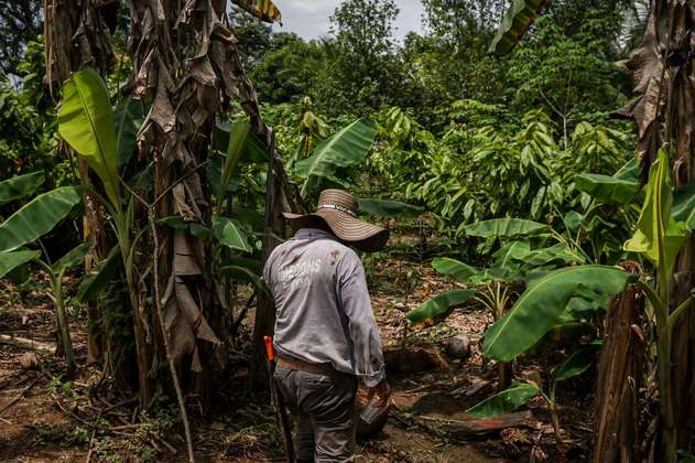 Invasiones a tierras de narcos: la otra cara que  deberá atender Petro en su reforma agraria