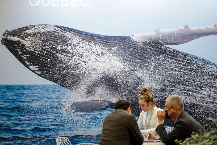 Los participantes hablan junto a una imagen de una ballena durante la Conferencia de las Partes de las Naciones Unidas sobre Biodiversidad (COP15) en Montreal.