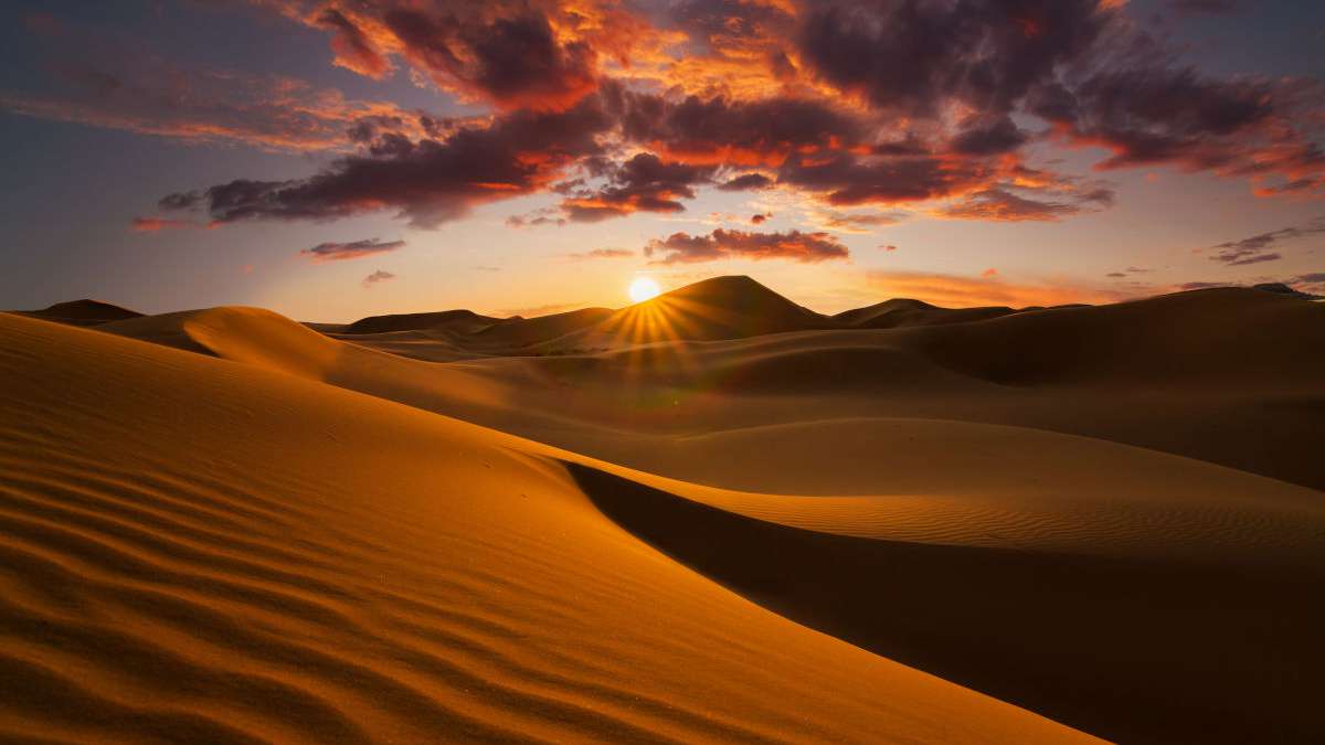 Thousands of years ago, the Sahara Desert was a green savannah.  What happened?