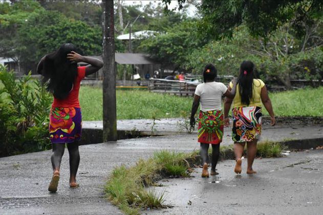 ONIC alerta que ELN instaló minas en resguardo indígena de Chocó