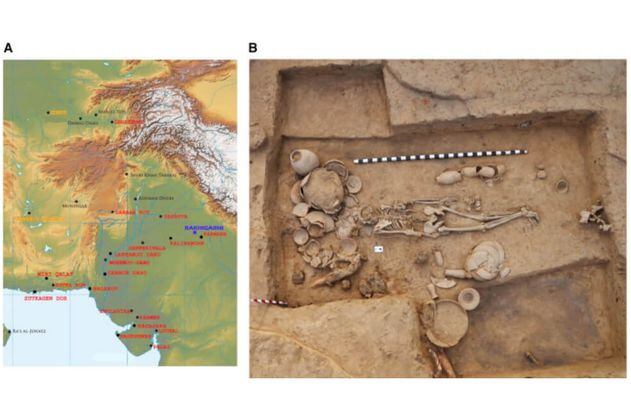 El estudio de ADN antiguo más grande ilumina milenios de la prehistoria de Asia 
