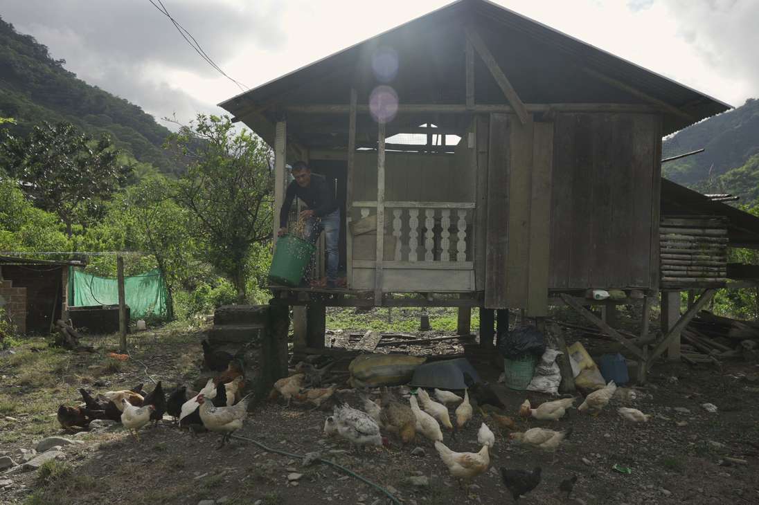 A pesar de las dificultades de seguridad, por la presencia del Eln y cultivos de coca; el mal estado de las vías y el abandono estatal, la población de Tallambí le apuesta a la agricultura.