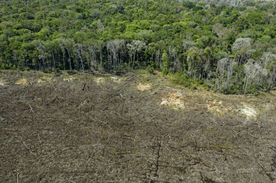 Las políticas del actual presidente de Brasil Jail Bolsonaro han sido duramente cuestionadas por no favorecer la protección del Amazonas.