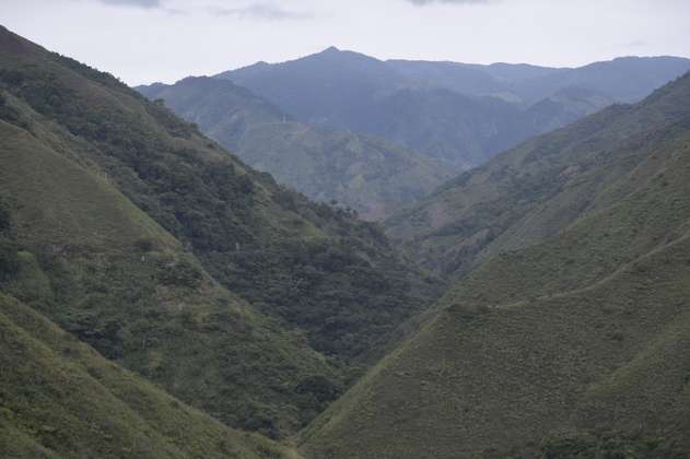 Regeneración de ecosistemas de montaña para asegurar el agua