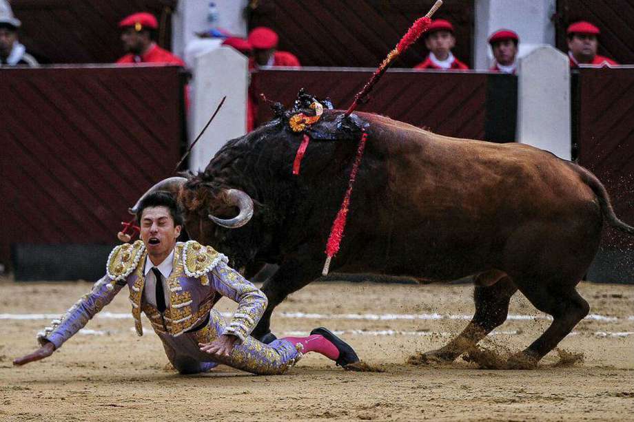 El torero Manuel Libardo sufre una caída durante la segunda jornada de la temporada taurina de Bogotá. / Mauricio Alvarado - El Espectador