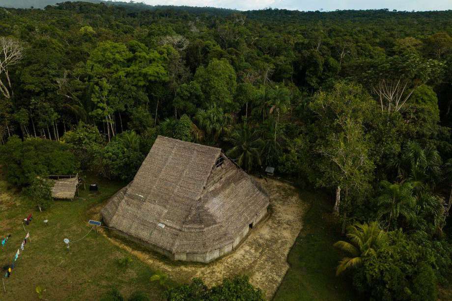 La Amazonia es el bosque húmedo más extenso de la Tierra. Se calcula que tiene más de 390.000 millones de árboles y resguarda el 10% de la biodiversidad mundial.
