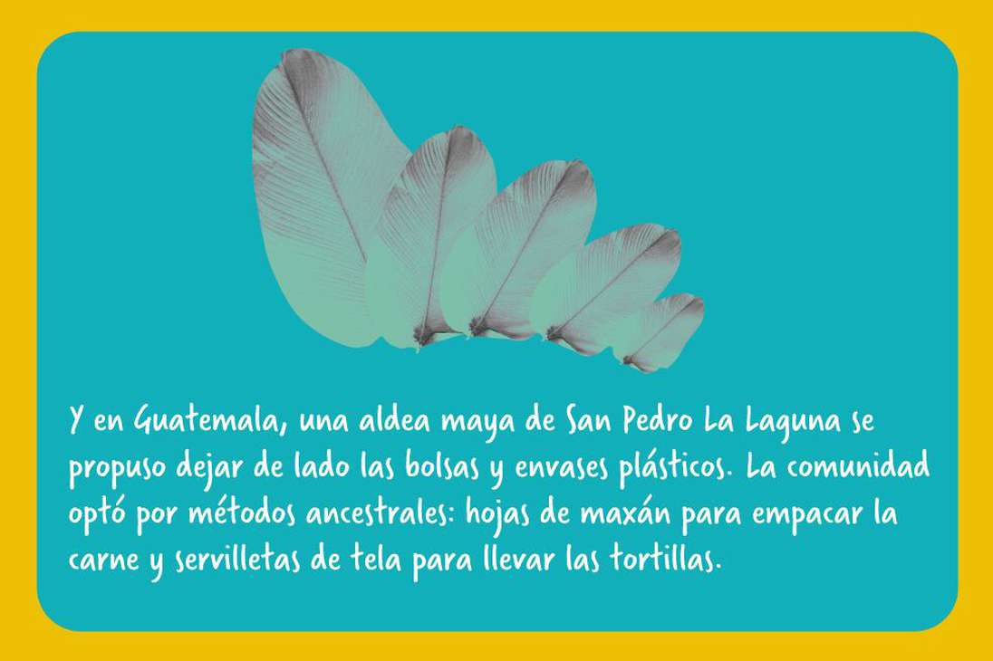 ¿Más plástico que peces para 2050?