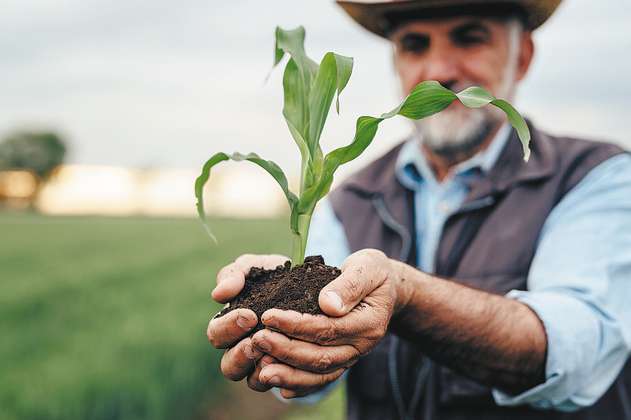 Las 5 recomendaciones para que los emprendimientos agrícolas sean sostenibles 