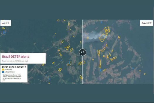 Científicos hicieron un mapa procesando ellos mismos los datos satelitales que usó el INPE. La conclusión fue que el instituto científico dijo la verdad y que incluso, la deforestación podría ser peor de lo reportado. / IIASA