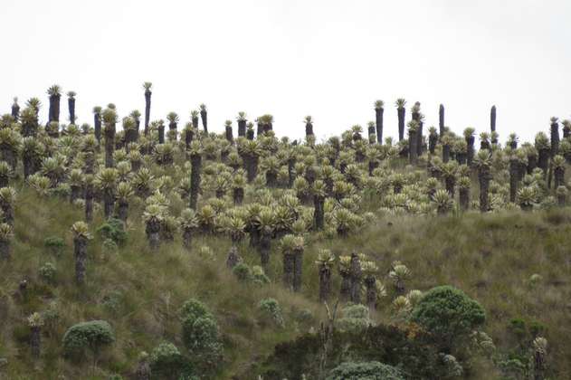 Colombia tiene nuevo parque natural