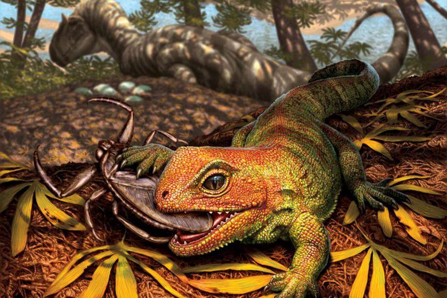 Este reptil prehistórico habría medido unos 16 centímetros.