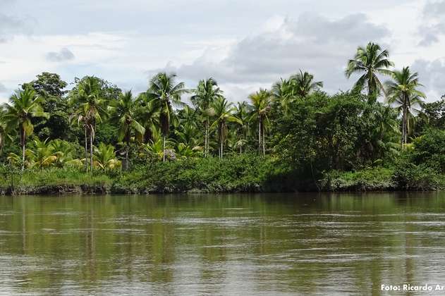 La isla Ají, el lugar que Colombia declaró como área protegida