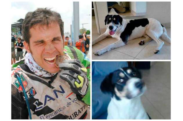 LAN y BoConcept retiran patrocinio a piloto que mató a un perro en Bogotá