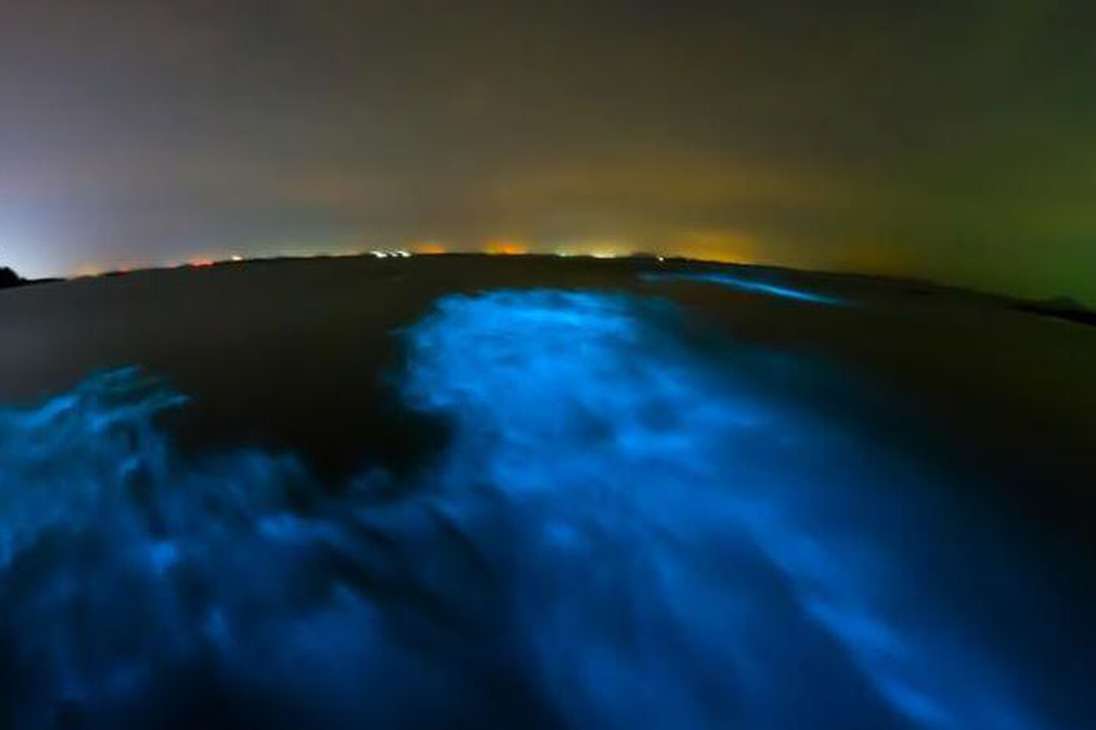 Tour bioluminiscente en Space Coast