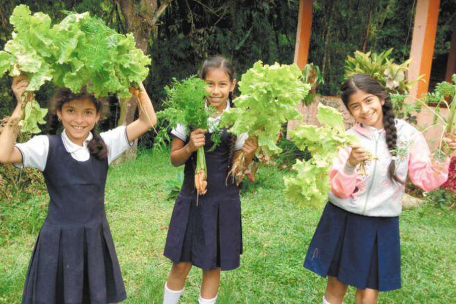El corregimiento de Bitaco, en Valle del Cauca, realizó capacitaciones y talleres de educación medioambiental durante cuatro años.