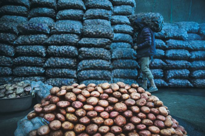 What happened to the price of potatoes in Colombia?  |  inflation