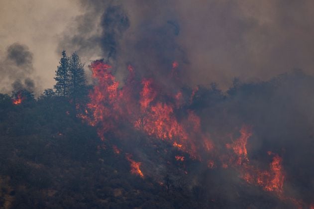 Incendio forestal en California deja cuatro muertos y al menos 70 heridos