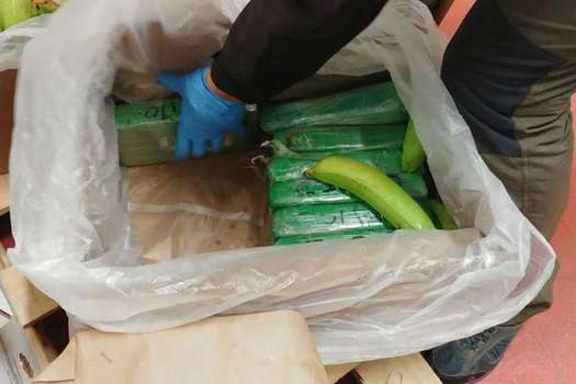 La cocaína era ocultada dentro de los cargamentos de fruta que salían del país.  / Cortesía 