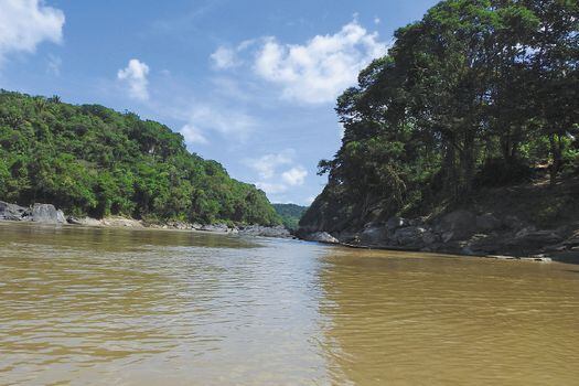 En el río Guayabero se encuentran cerca de 250 especies de peces que conforman el ecosistema. /Arelis Arciniégas