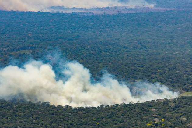 Deforestación en tierras indígenas provocó emisión de 96 millones de toneladas de CO2