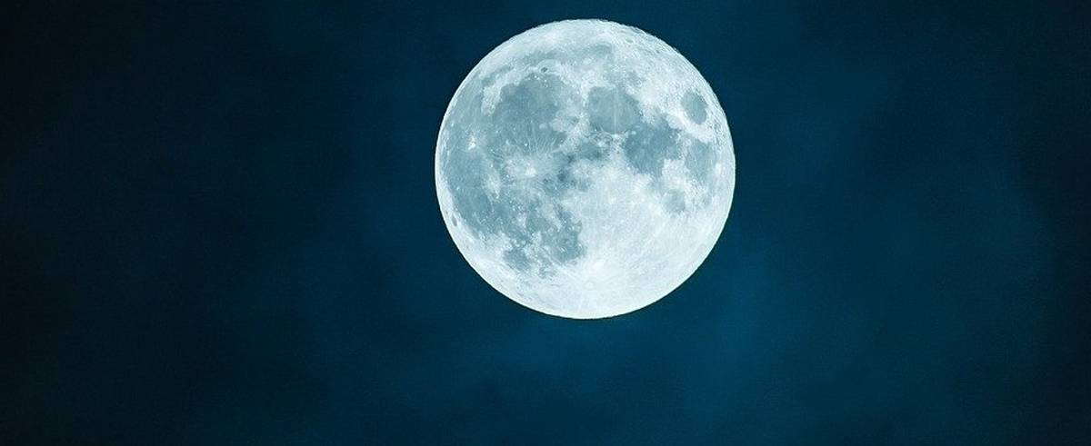 En esta ocasión, la energía lunar te sorprenderá con información de tu inconsciente y tus sentires más profundos.