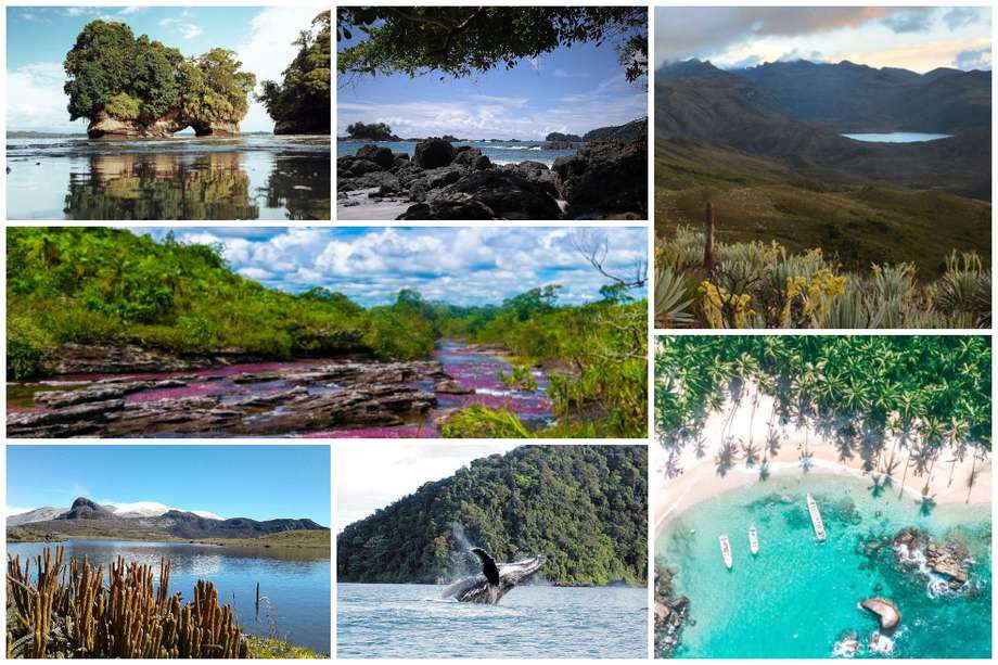 Estos son algunos de los Parques Nacionales Naturales más visitados de Colombia.
