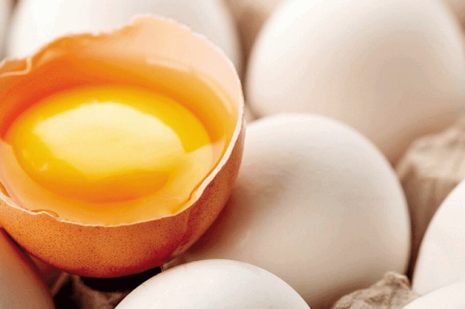 El huevo, más que un alimento