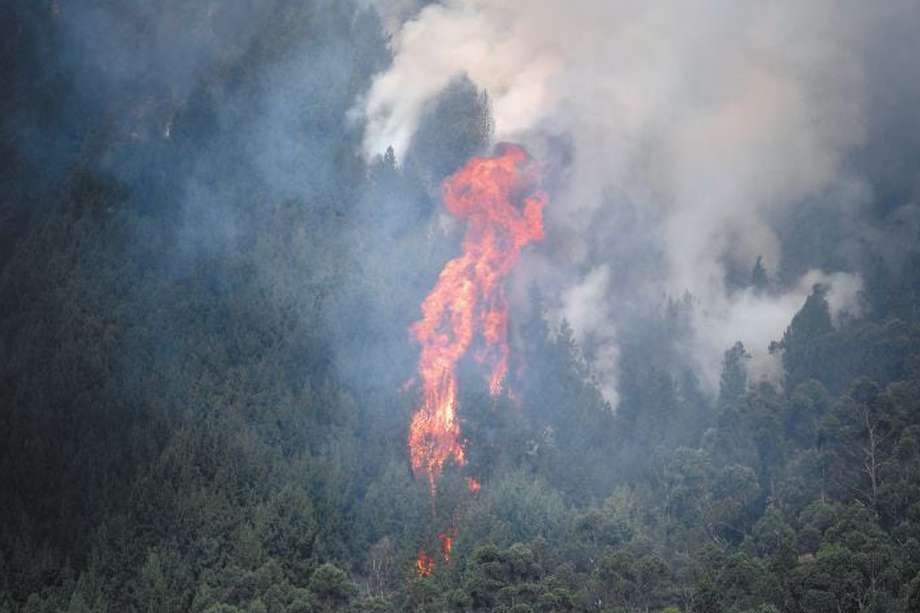 Incendios en los Cerros orientales de Bogotá.  / Mauricio Alvarado