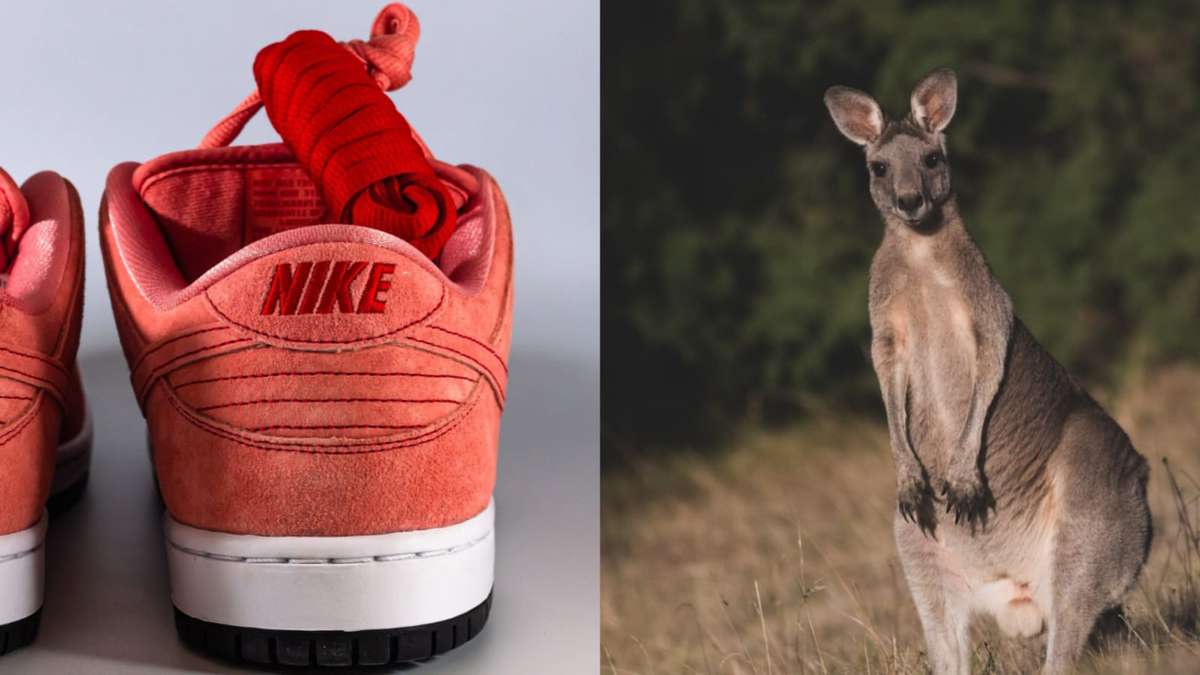 Joya Estimado Apariencia Nike anuncia que dejará de utilizar pieles de canguro para fabricar su  calzado | El Espectador