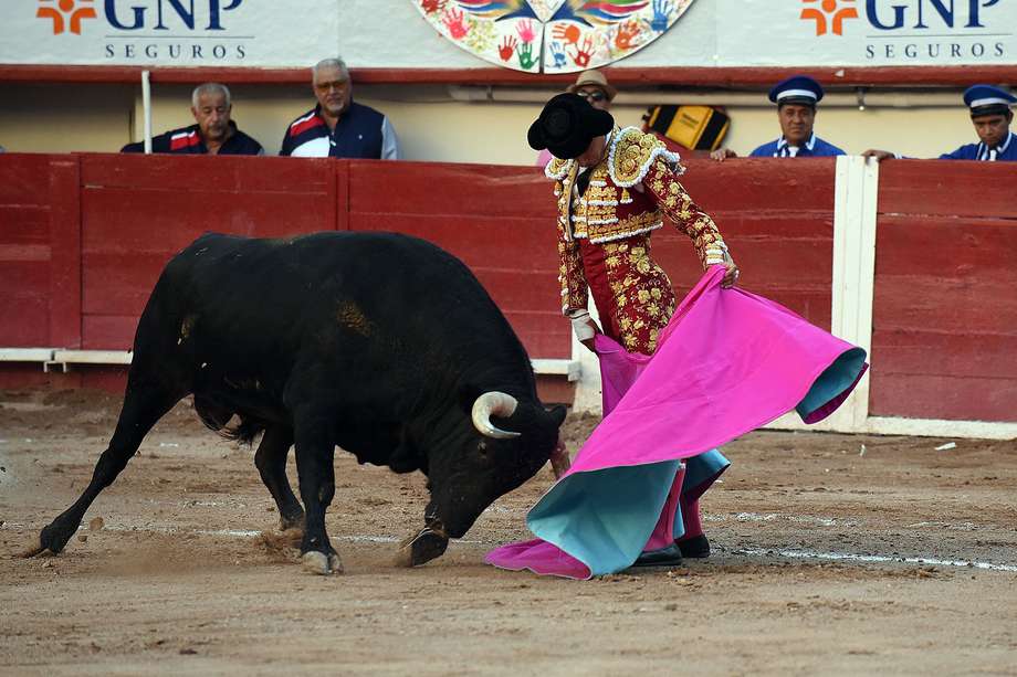 Las corridas de toros están a un debate de ser prohibidas en Colombia.
