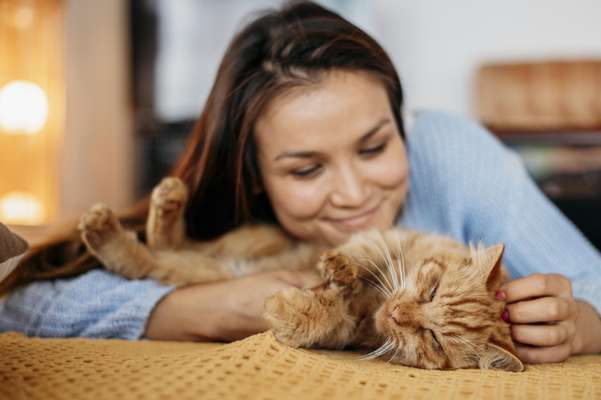 ¿Qué hacer para que un gato sea más cariñoso?