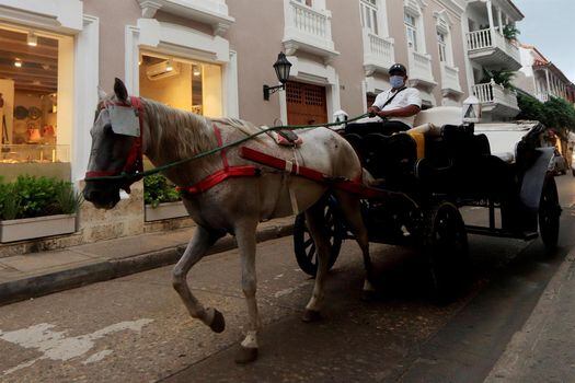 Fotografía de uno de los románticos y tradicionales coches de caballos de la ciudad.