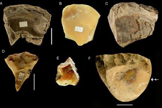 Herramientas a partir de conchas marinas encontradas en la cueva de Moscerini en Italia. / Paola Villa et al.
