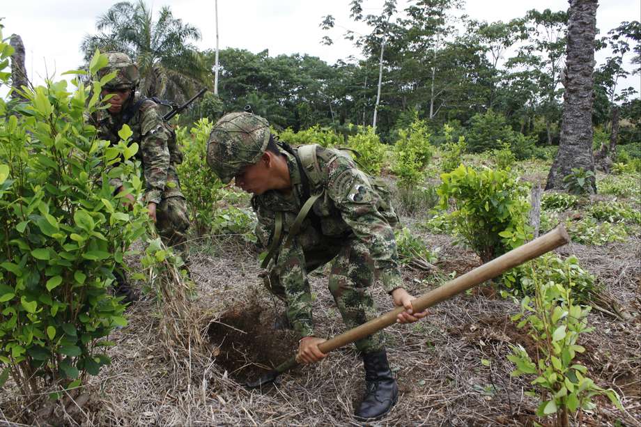 Lo que necesita Colombia es apoyo para consolidar los proyectos de posconflicto, para así frenar verdaderamente el narcotráfico. / Foto: Germán Gómez Polo - El Espectador