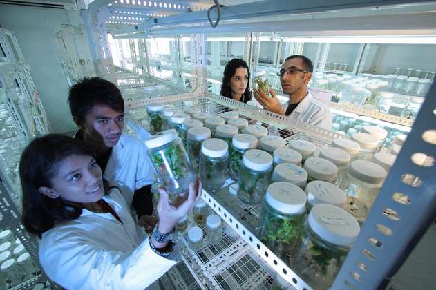 Gobierno destina 1.2 billones de pesos para ciencia y tecnología en las regiones